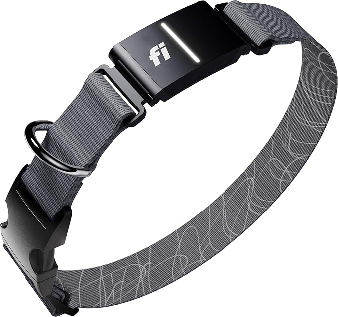 Fi Series 3+ GPS + Health Dog Collar, Gray, Medium, 12-Month Membership | Smart GPS dog collar with live tracking, health & behavior, Escape Alerts, LED light. Waterproof and Apple Watch compatible.