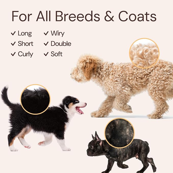 Sunny & Honey Detangling Dog Shampoo and Conditioner with Bonus Dog Perfume