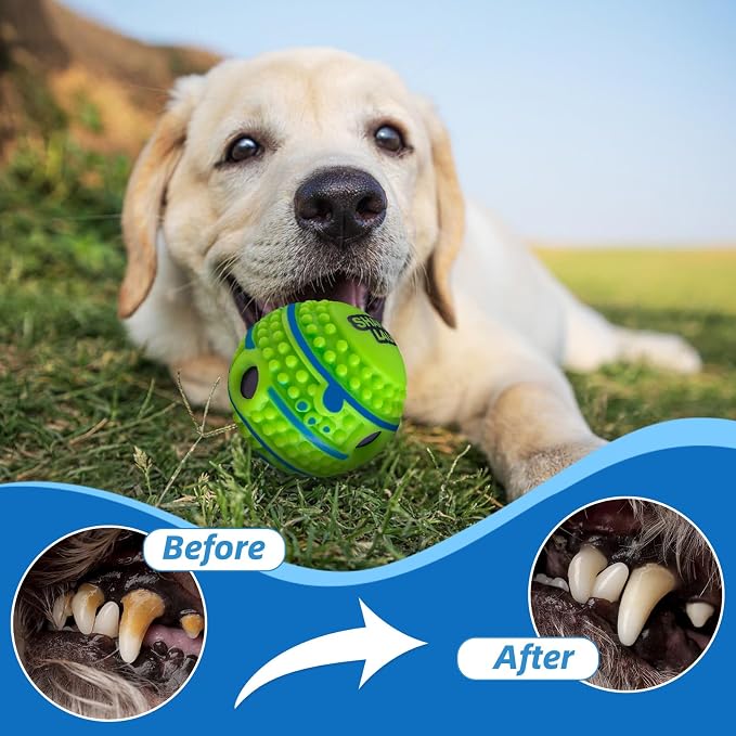 Spiky Interactive Dog Toys Ball, L, 3.94 in (10 cm) | Shaking with Gibbering Sound, Training, Teeth Cleaning, Herding, Straight