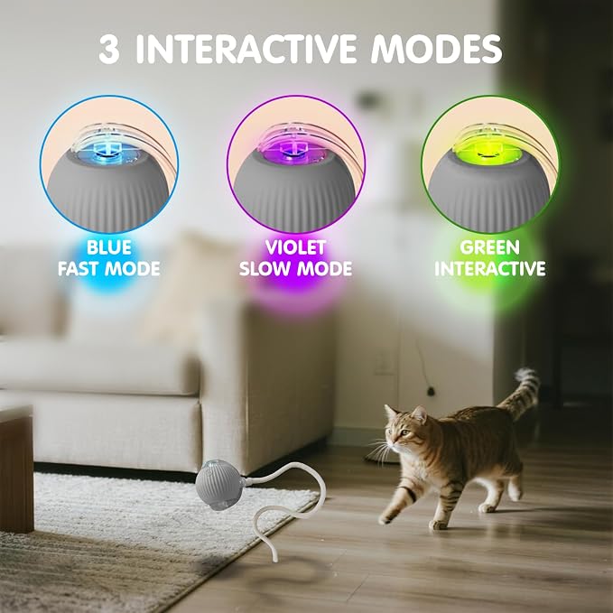 Rocfish Durable Interactive Cat Toys for Indoor Cats (Grey, 01) | Smart Automatic Cat Chase Ball Toy, Upgraded Speedy Tail Kitten Toy for Bored Indoor Adult Pets