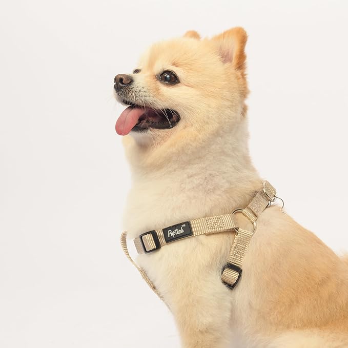 PUPTECK No Pull Dog Harness Medium Sized Step-in Adjustable Puppy Vest | Soft Webbing Basic Halter with ID Tag for Outdoor Walking