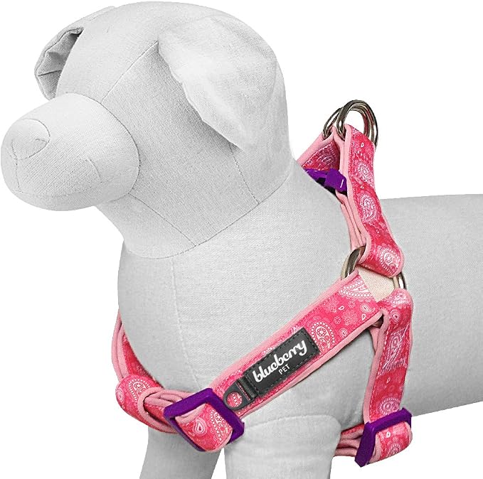 Blueberry Pet 5 Colors Soft & Comfy Step-in Paisley Flower Print Dog Harness, Chest Girth 20" - 26", Pink, Medium, Adjustable Harnesses for Dogs
