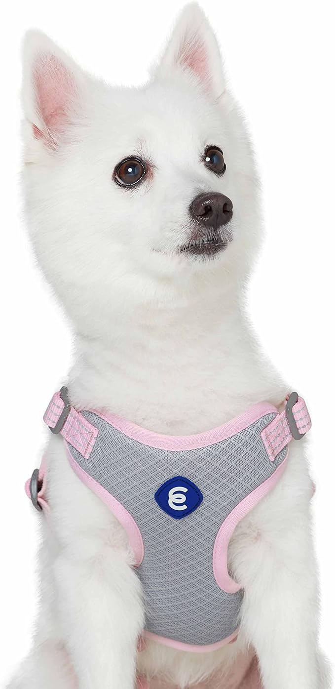 Blueberry Pet Essentials Back to Basics Reflective Dog Harness Vest, Candy Pink, Medium, Adjustable Harnesses for Dogs