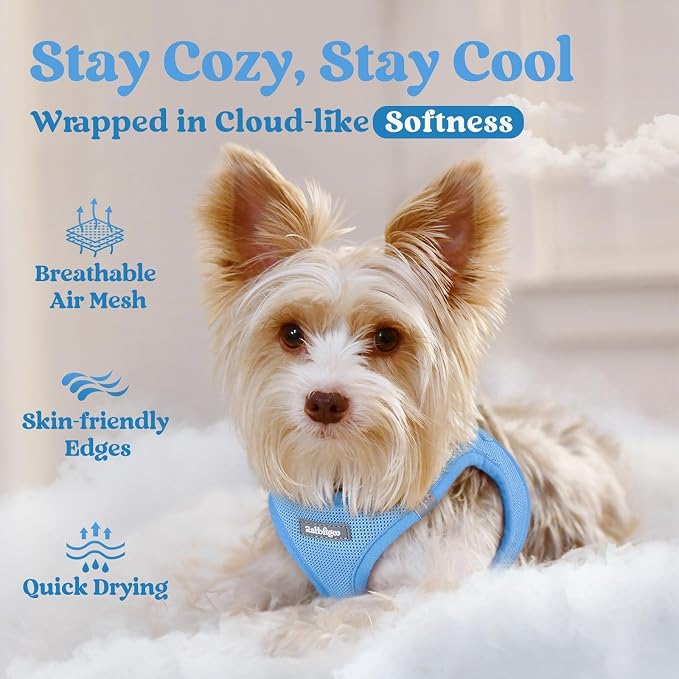 rabbitgoo Step-in Small Dog Harness, Puppy Vest for Small Medium Sized Pet | Easy Put on and off, Lightweight, Soft, Breathable Quick-Dry Air Mesh for Comfortable Secure Walking, Blue XL