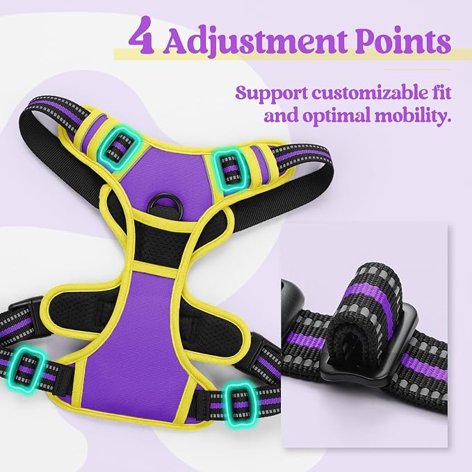 rabbitgoo Dog Harness, No Pull for Small Dogs with 2 Leash Clips, Pet Vest | No Choke with Handle, Adjustable Soft Padded, Reflective, Easy Control for Walking, Purple & Yellow, Small