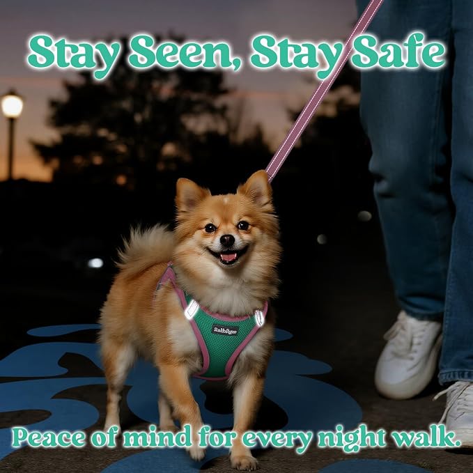 rabbitgoo Dog Harness Small Sized and Leash Set, Step in Soft Vest | Breathable Mesh, Easy Wear with Hook & Loop, Light and Reflective for Walking, Multi-colored, Teal & Pink, S