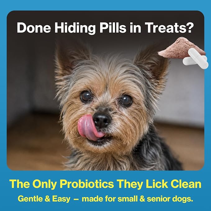 Doctor By Squeeze Probiotics for Small & Senior Dogs, Gut Health Support