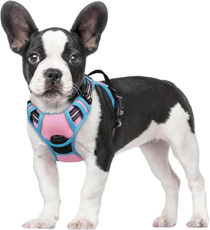 rabbitgoo Dog Harness, No Pull for Small Dogs with 2 Leash Clips, Pet Vest | No Choke with Handle, Adjustable Soft Padded, Reflective, Easy Control for Walking, Pink & Blue, Small
