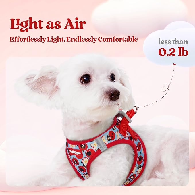 rabbitgoo Dog Harness Small Sized and Leash Set, Step-in Puppy Pet Vest | Light, Soft, Breathable Air Mesh, Easy on and Remove with Hook & Loop, Secure Reflective for Walking, Apple Pups XXS