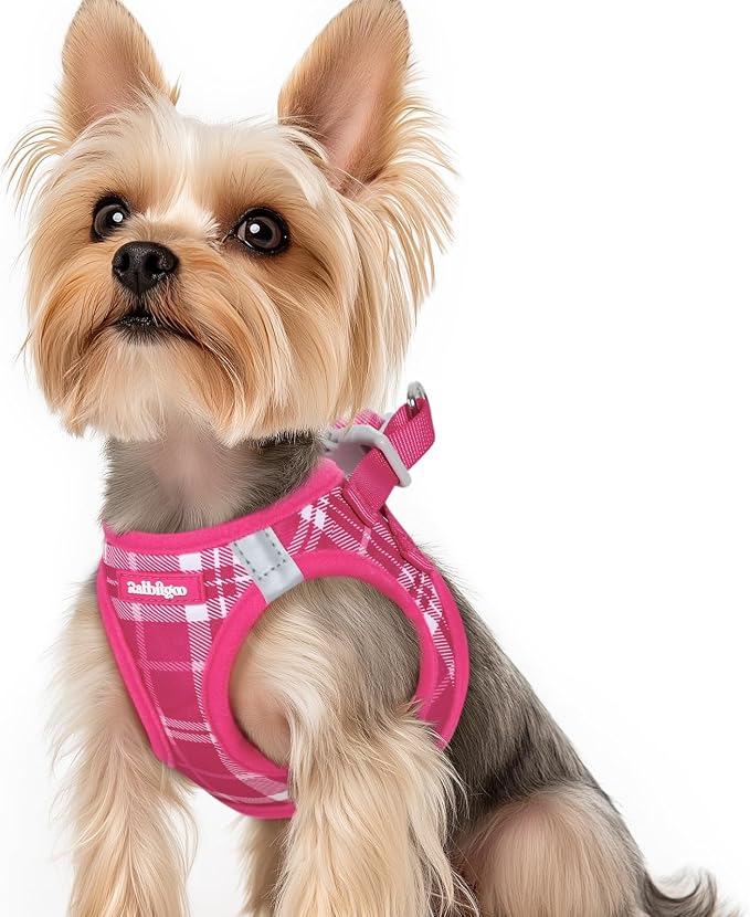 rabbitgoo Step-in Small Dog Harness, Puppy Vest for Small Sized Pet | Easy Put on and off, Lightweight, Soft, Breathable Quick-Dry Air Mesh for Comfortable Secure Walking, Rose Red Plaid XS