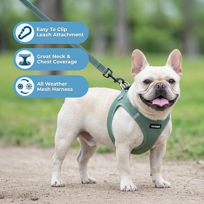 Best Pet Supplies Voyager Step-in Air All Weather Mesh Harness and Reflective Dog 5ft Leash Combo with Neoprene Handle, for Small, Medium and Large Breed Puppies - Moss Green, X-Large