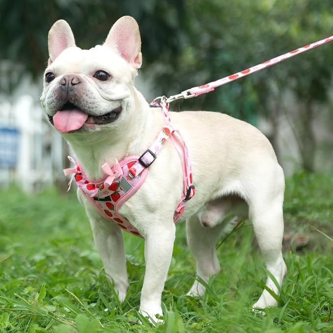PUPTECK Dog Harness and Leash Set Medium Sized, Step in No Pull Adjustable Puppy Cat Harness Reflective Pet Vest