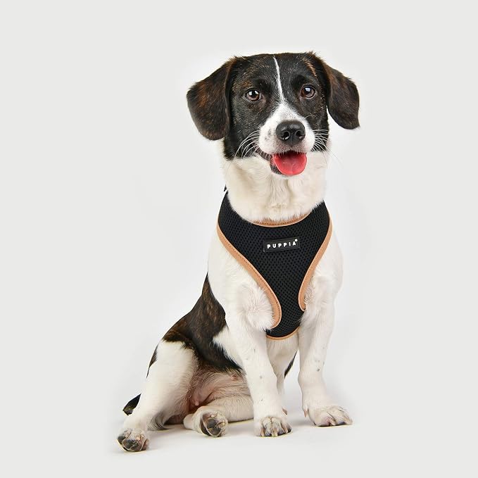 Puppia Soft Harness II - Black - S (Pack of 2)