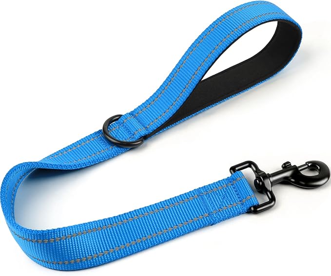 Joytale Short Dog Leash for Close Control & Training, 24", Aqua Blue | Padded Comfort Handle, Reinforced Nylon Webbing, Secure Metal Clip, for Busy Streets & Heel Training