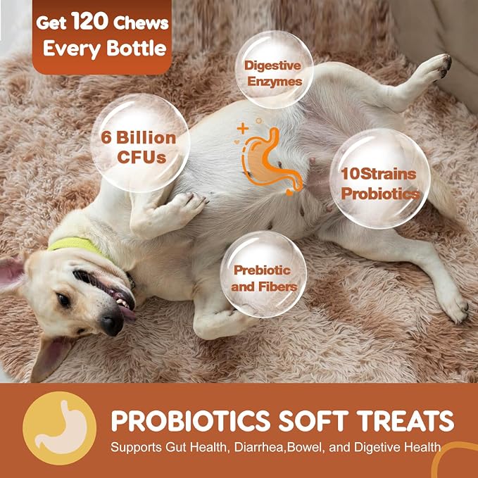 Probiotics for Dogs Bundle with Glucosamine for Dogs