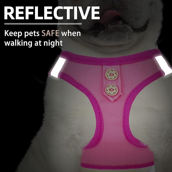 PUPTECK Dog Harness and Leash Set for Small Medium Dogs No Pull Step-in Soft Mesh Puppy Cat Vest Harnesses Reflective at Night, Denim Pink S