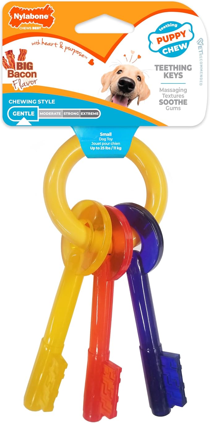 Nylabone Puppy Chew Teething Key Ring Dog Chew Toy, Bacon Flavor, Small | Medium breeds, soothing teething toys for puppies, puppy enrichment, freeze for added comfort, for puppies up to 35 lbs