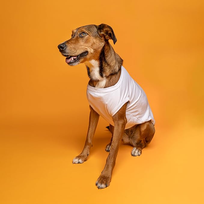 Popcorn Costume Dog Tee Shirt, XX-Large (25-35 lbs), Large, Red