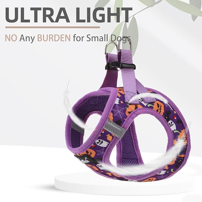 PUPTECK Dog Harness and Leash Set for Small Medium Dogs No Pull Step-in Soft Mesh Puppy Cat Vest Harnesses Reflective at Night, Halloween Purple, S