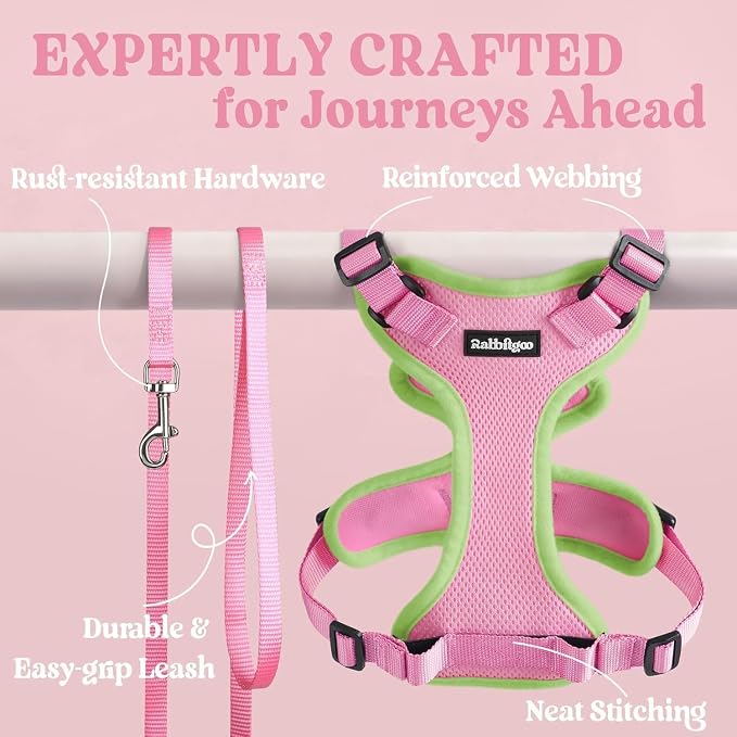 rabbitgoo Cat Harness and Leash Set, Escape Proof Vest, Pink & Light Green | Soft Breathable Mesh, Easy Adjustable Fit, Snap Buckles, Sturdy Clip, Reflective Strips, for Average Cats Walks, S