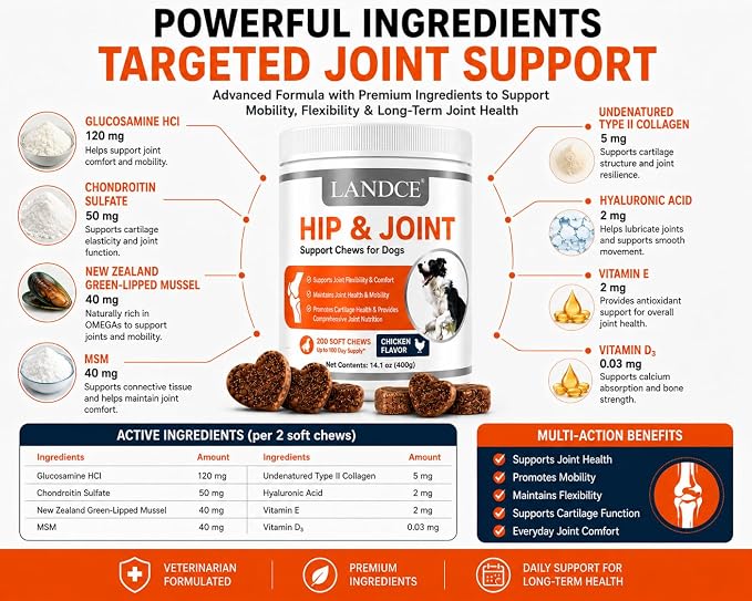 Hip and Joint Supplement for Dogs Glucosamine Chondroitin MSM Chews