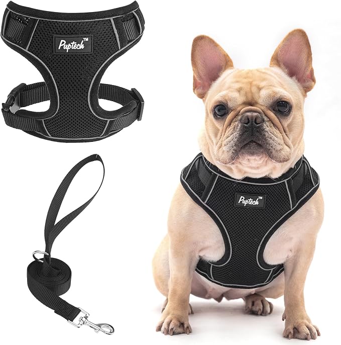 PUPTECK Small Dog Harness and Leash Set, No Pull Adjustable Puppy Cat Harness, Reflective Soft Mesh Pet Vest Small Sized, Black, L