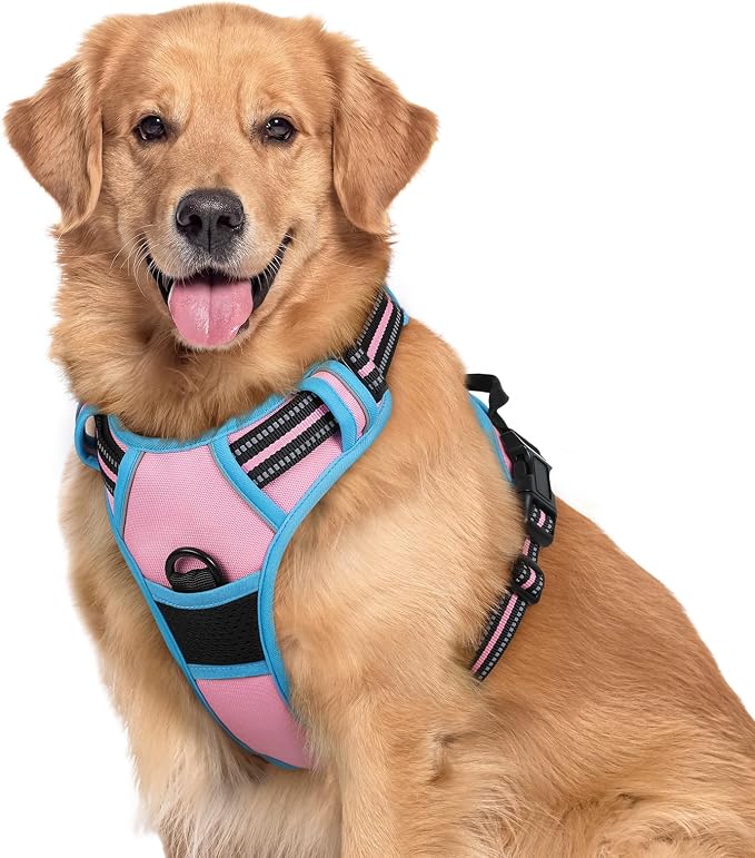 rabbitgoo Dog Harness, No Pull for Large Dogs with 2 Leash Clips, Pet Vest | No Choke with Handle, Adjustable Soft Padded, Reflective, Easy Control for Walking, Pink & Blue, X-Large