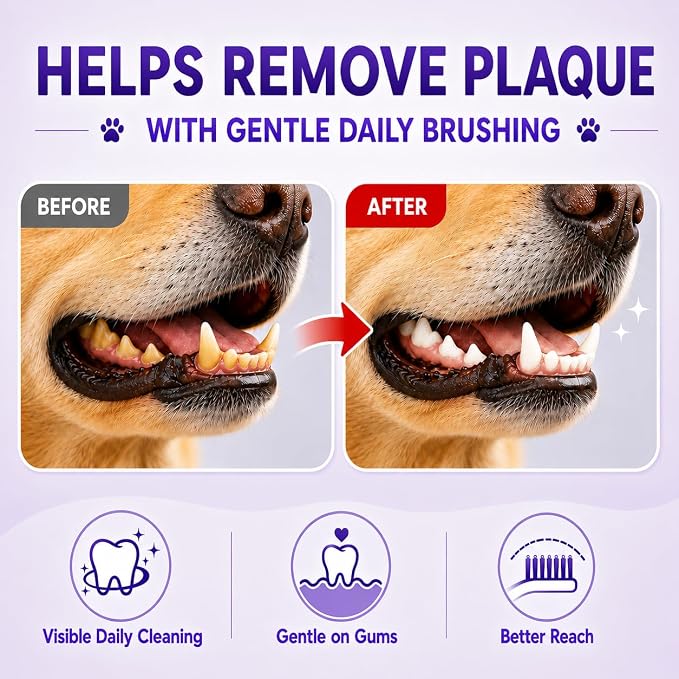 Dog Toothbrush, Dual-Head, for Medium-Large Dogs,Red | Soft Bristles for Gentle Cleaning, 60° Curved Bristles for Better Coverage, Comfortable for Sensitive Gums