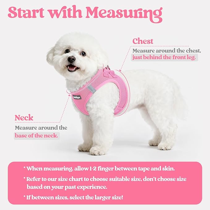 rabbitgoo Dog Harness Small Sized and Leash Set, Step-in Puppy Pet Vest | Light, Soft, Breathable Air Mesh, Easy on and Remove with Hook & Loop, Secure Reflective for Walking, Light Pink S