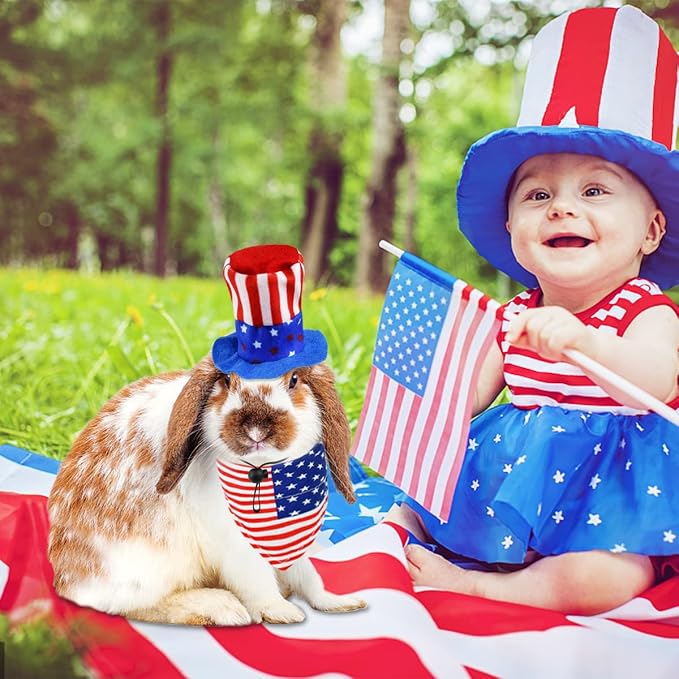 4 Pcs Pet Independence Day Costume Pet 4th of July Guinea Pig Hat and, Large, 4-Pack, Small