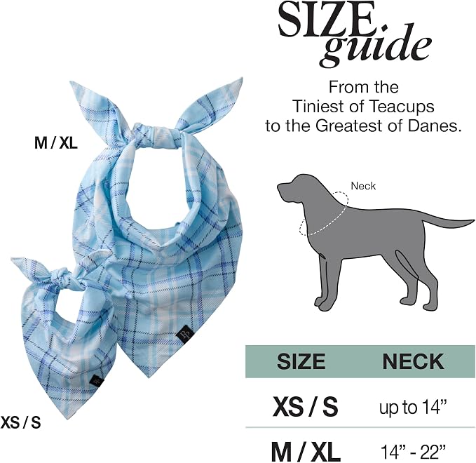 Pet Passion Bandit, Medium/X-Large, 3-Pack, Small, Blue