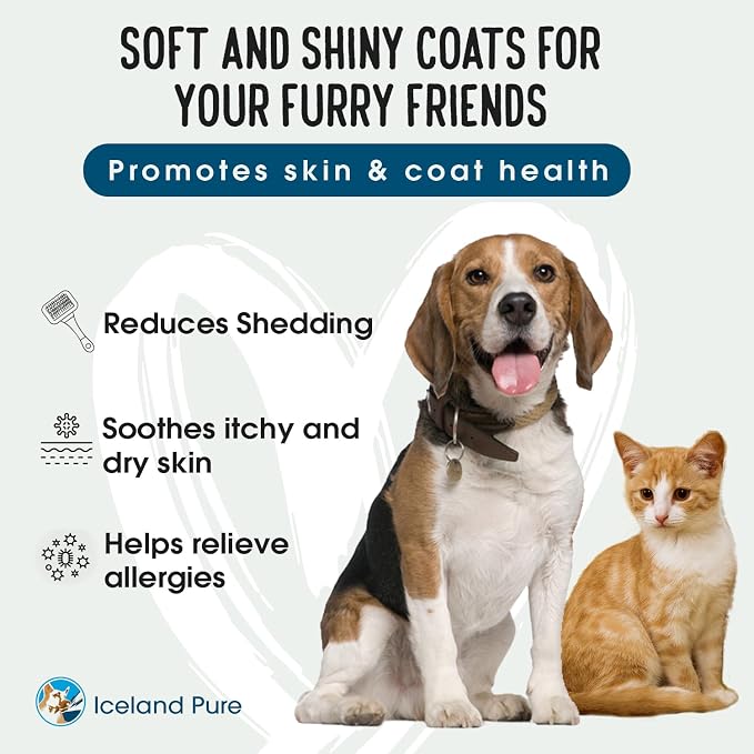 Wild Alaskan Salmon Oil for Dogs and Cats by Iceland Pure | 1,043 mg of Omega-3 per Teaspoon | Salmon Oil & Pollock Blend | BPA-Free Brushed Aluminum Epoxy Coated Bottle with Pump - 8.75 oz