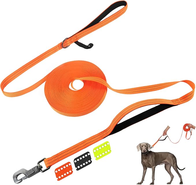 Fida Obedience Recall Training Agility Lead, 50FT Long Dog Leash, Orange | 33FT & 50FT, Traffic Handle, Soft Padded, Reflective for Night Safety, Durable Nylon Dog leash for Small Medium Large Breeds