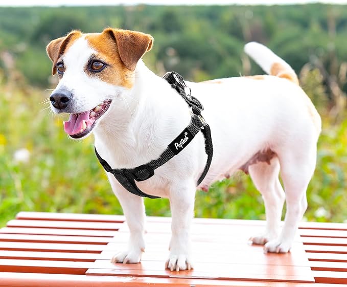 PUPTECK No Pull Dog Harness Small Sized Step-in Adjustable Puppy Vest | Soft Webbing Basic Halter with ID Tag for Outdoor Walking