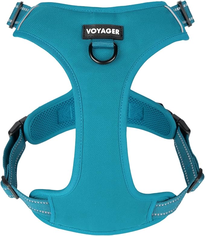 Voyager Dual Attachment No Pull Harness - Turquoise, Medium | 20 - 25" in Chest, No Pull Dog Harness, Fully Adjustable, 3M Reflective Technology, Front & Back D-Rings, Walking & Training