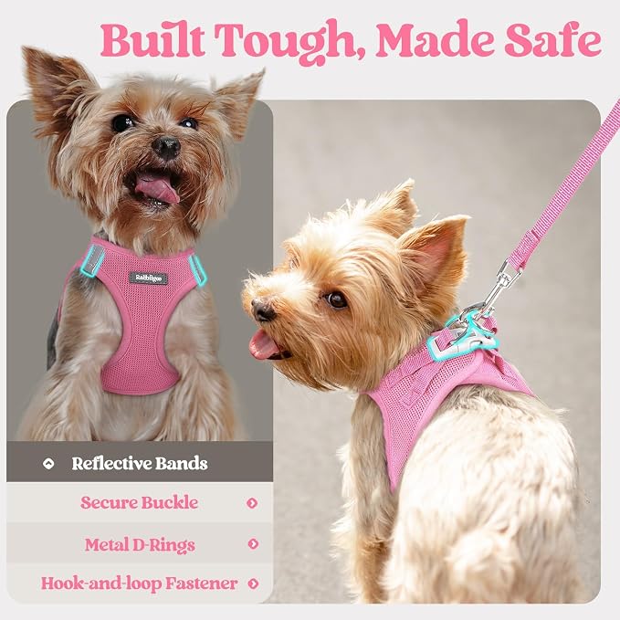rabbitgoo Dog Harness Small Sized and Leash Set, Step-in Puppy Pet Vest | Light, Soft, Breathable Air Mesh, Easy on and Remove with Hook & Loop, Secure Reflective for Walking, Light Pink S
