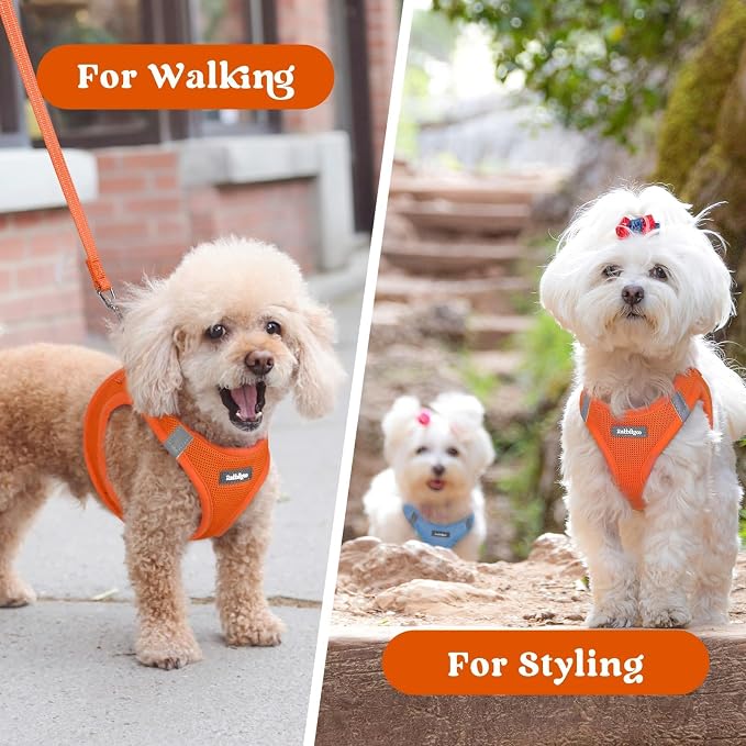 rabbitgoo Step-in Small Dog Harness, Puppy Vest for Small Sized Pet | Easy Put on and off, Lightweight, Soft, Breathable Quick-Dry Air Mesh for Comfortable Secure Walking, Orange M