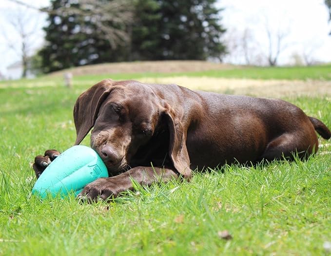 Chew King Premium Treat Dog Toy (XL, Pack of 2) and Planet Dog Orbee-Tuff Snoop Interactive Treat Dispensing Dog Toy (Large, Blue)