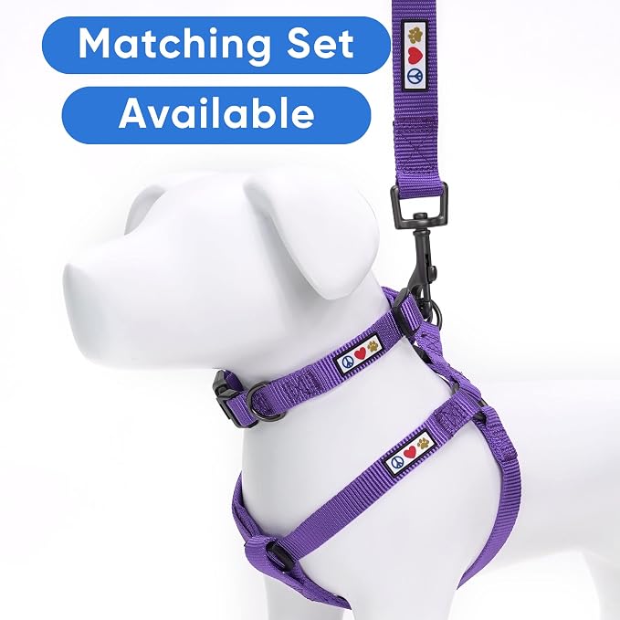 Pawtitas Solid 6 ft Purple Dog Leash XS/S Custom Name and Phone Embroidery Strong Nylon Leash for Small Breeds