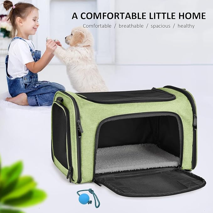 Henkelion Pet Carrier, Small/Medium Up to 15 lbs, Airline Approved, Green