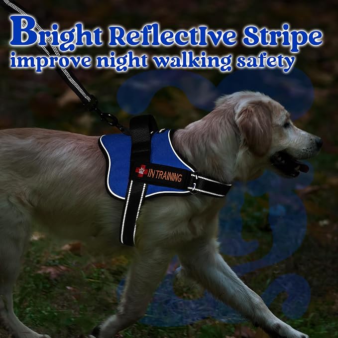 rabbitgoo No Pull No Choke Pet Vest, Adjustable Pet Harness with Molle | Small Sized Dog Harness, Reflective, Easy Wearing with One Buckle for Walking, Training, Blue, S