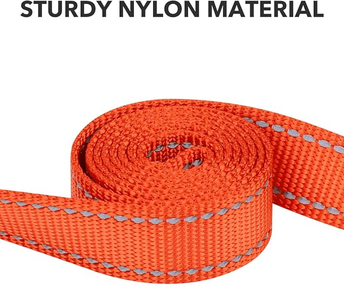 Taglory Reflective Dog Leash for Medium Large Dogs, 1in x 6ft, Orange | Ideal for Night Walking, Strong for Sudden Pulls, Lightweight & Gentle on the Neck, Soft Padded Handle