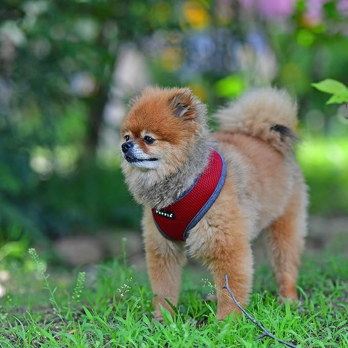 Puppia Soft Harness II - Wine - L