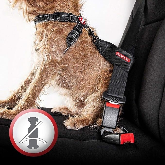 EzyDog Chest Plate No Pull Dog Harness, Escape Proof - Small, Corduroy | Car Restraint Included, Comfort EVA Padding, Adjustable for All Breeds, Quick Release Buckles, Reflective Stitching