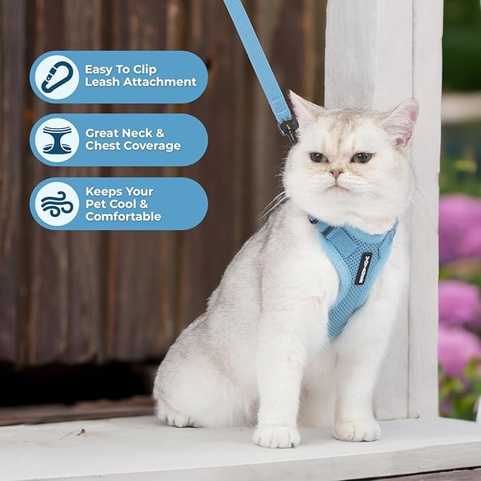 Voyager Escape-Proof Step-in Lock Cat Harness & 5ft Neoprene-Handle Leash Set All-Weather Mesh with Reflective Stitching for Small to Large Cats by Best Pet Supplies, Baby Blue, XXXS
