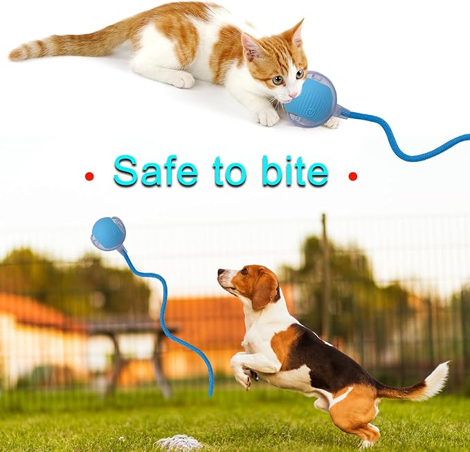 Interactive Cat Dog Toy Ball with LED Light, Automatic Rolling(Blue) | String Tail and LED Light Design, Motion Activated, Suitable for Interactive Indoor Pet Play and Exercise