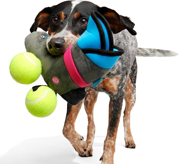 BarkBox Way Rad Rollerblade Dog Toy - for Extra Small to Small Dogs | Plush Rollerblade with Squeaky Tennis Balls, 2 Squeakers & Fluffy Filling