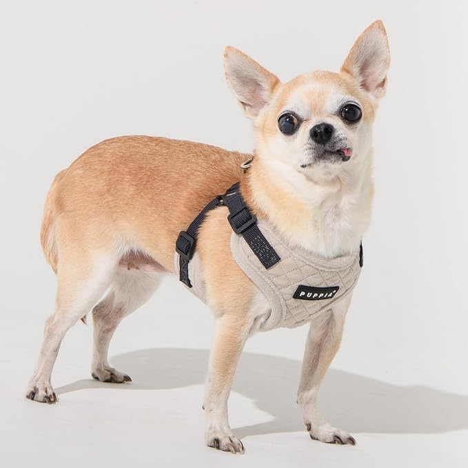 Puppia Irvin Comfort Dog Harness Step-in Warm Winter Diamond Pattern Adjustable Neck and Chest for Small and Medium Dog, Cream, Large