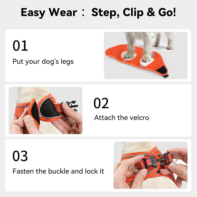 Joytale Step-in Dog Harness, Soft Breathable Mesh, Orange M | Adjustable Fit for Small Dogs, Easy Step-in with Secure Fastener, Even Chest Pressure, Reflective For Night Safety, Washable