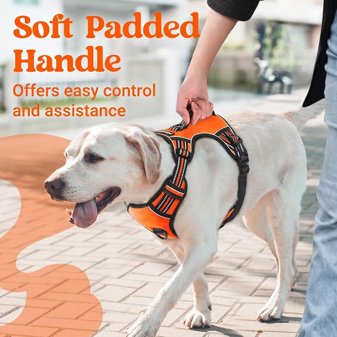 rabbitgoo Large Dog Harness, Easy Wear with 3 Buckles and Lift Handle | No Pull with Front Clip for Walking, Adjustable Soft Padded, Reflective, Easy Control, Orange, Medium
